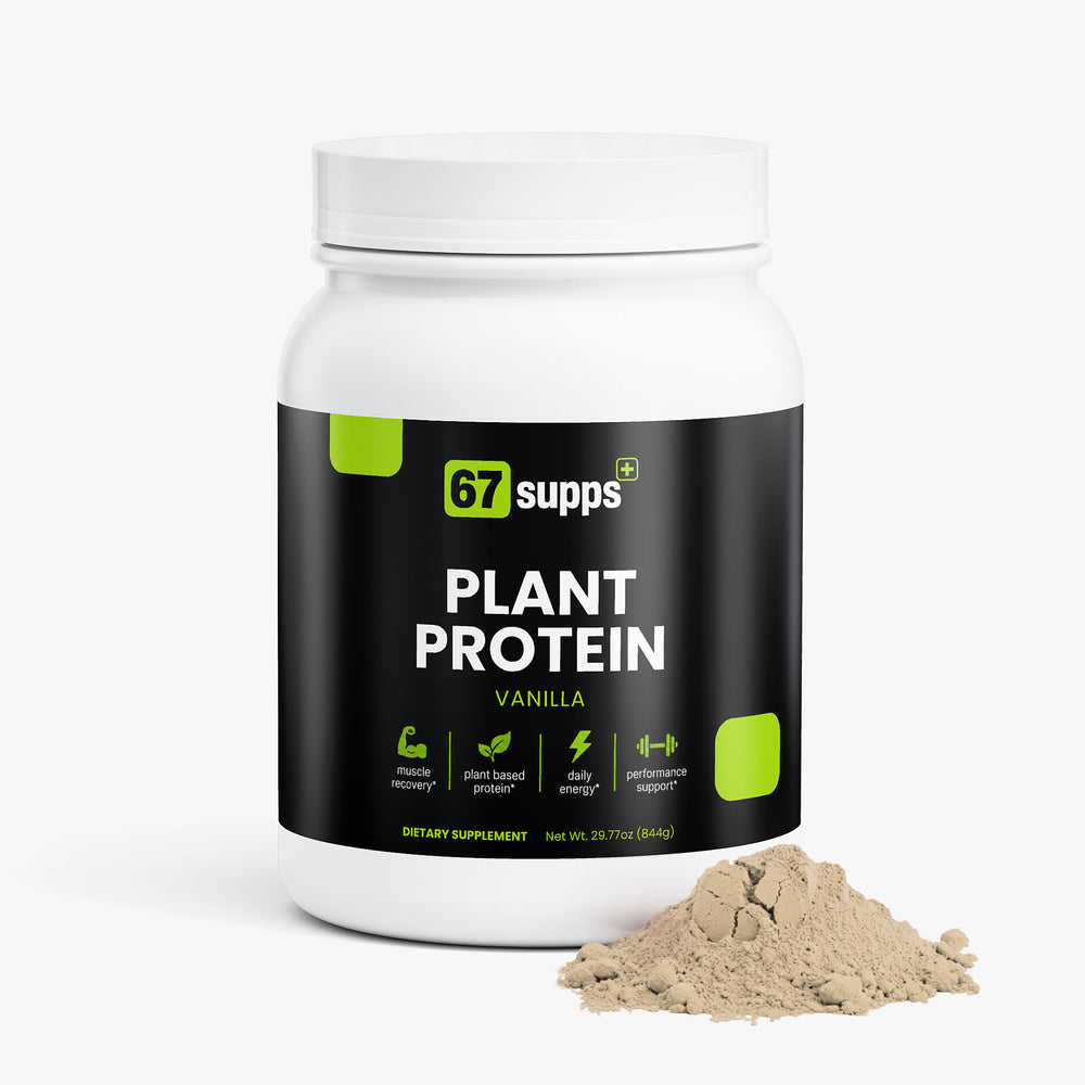 Plant Protein (Vanilla)